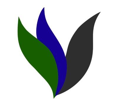 Bolonyo LTD
